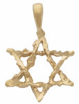 Small Star of David Pendant